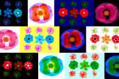Harold Davis LAB collage  © Harold Davis