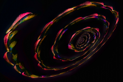 Spiral Arm of the Petal Galaxy © Harold Davis