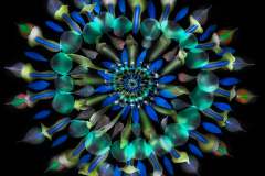 Petal Fractal 101 Inversion in Blue
