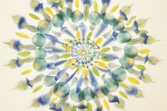 Petal Fractal with Background B