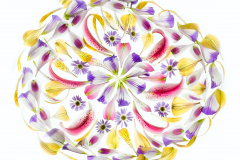 Petals (on White)