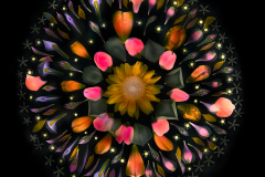 Solar Flare on Black © Harold Davis