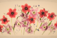 Tulips and Lobelias © Harold Davis
