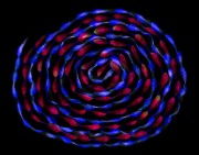 A Simple Twist of Fate 2 © Harold Davis