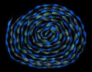 A Simple Twist of Fate 3 © Harold Davis