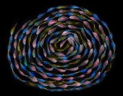 A Simple Twist of Fate 4 © Harold Davis