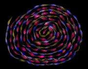 A Simple Twist of Fate 5 © Harold Davis