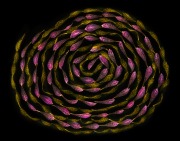 A Simple Twist of Fate © Harold Davis