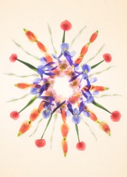 Bullseye © Harold Davis