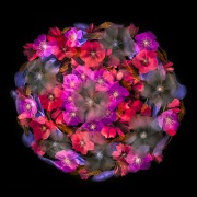 Dark Star © Harold Davis