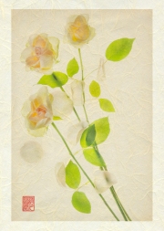 Falling Rose Petals on Unryu washi © Harold davis