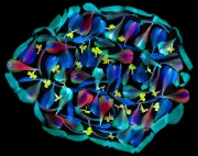 Fortification on Black 2 © Harold Davis