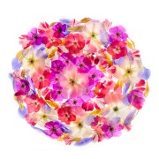 Great Balls of Flowers © Harold Davis