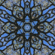 Kaleidoscope © Harold Davis