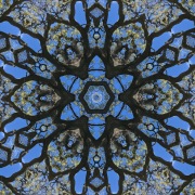 Kaleidoscope © Harold Davis