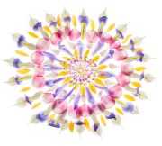 Petal Fractal 101 © Harold Davis