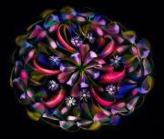 Petals of the Rainbow © Harold Davis