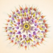 Study in Petals with Proteus Center © Harold Davis