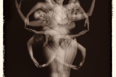 Star of Brightness © Harold Davis