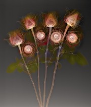 Rose Bouquet - Fusion X-Ray