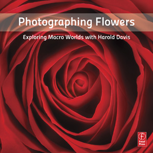 Photographing Flowers by Harold Davis