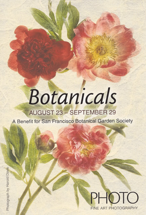 Botanicals at Photo Oakland