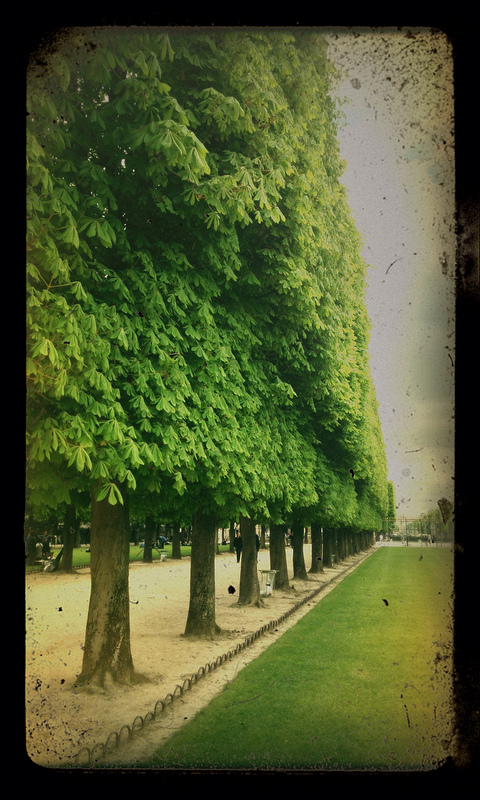 Luxembourg Gardens by Harold Davis