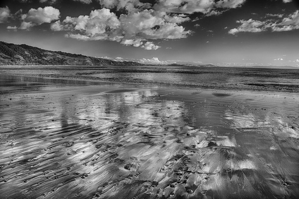 Bolinas Beach by Harold Davis