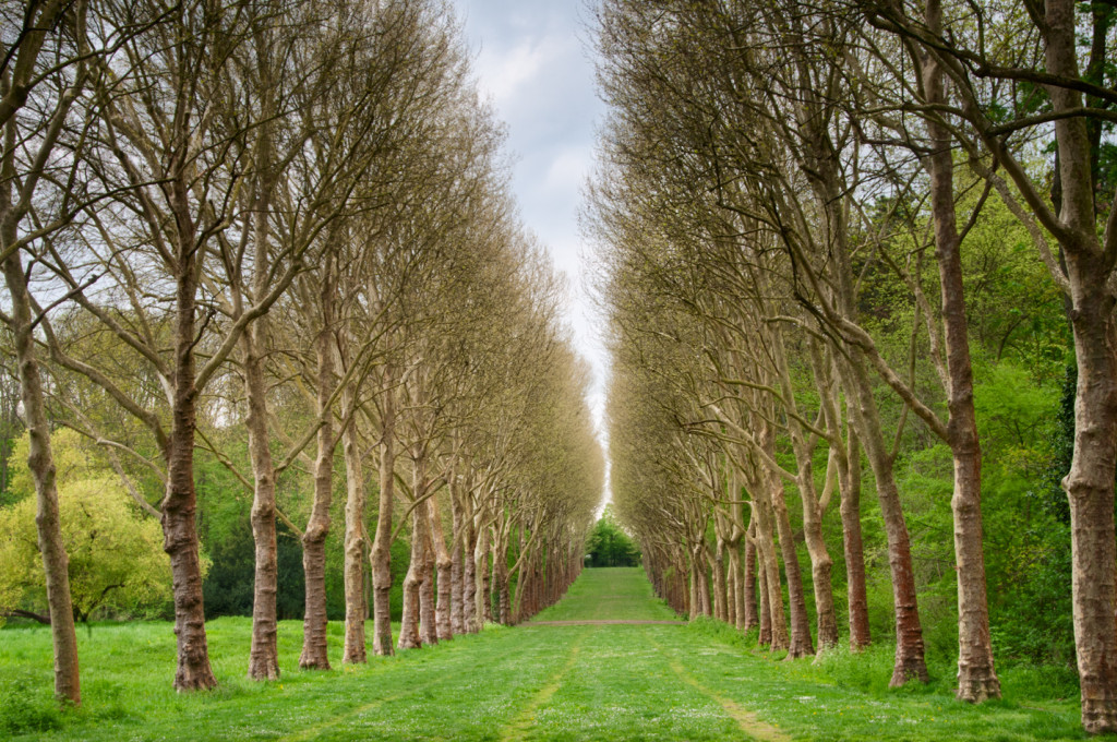 Parc de Sceaux by Harold Davis