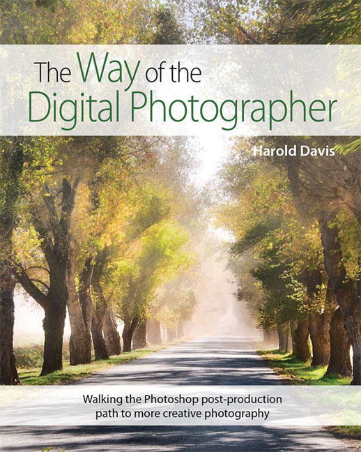 Way of the Digital Photographer