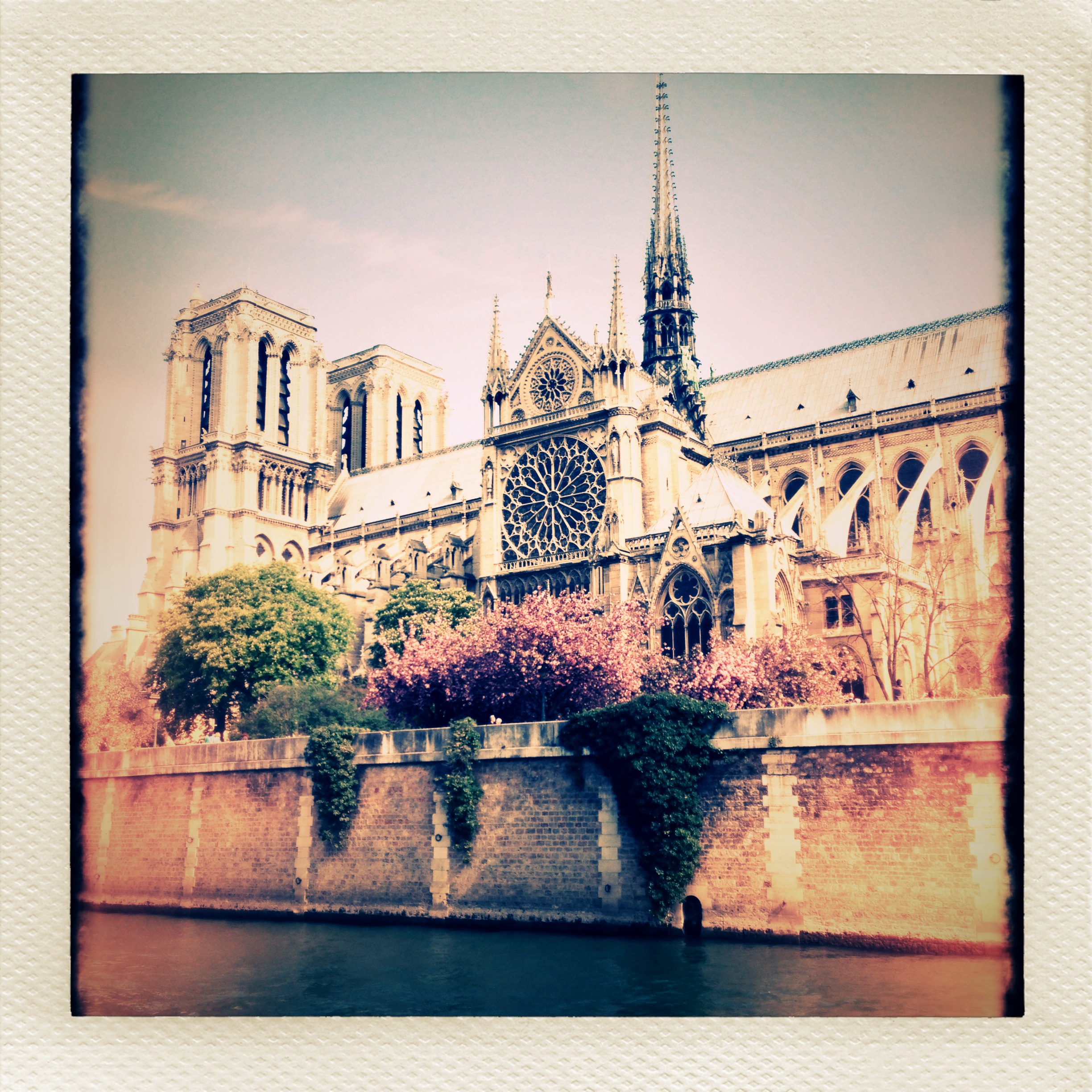 Notre Dame © Harold Davis