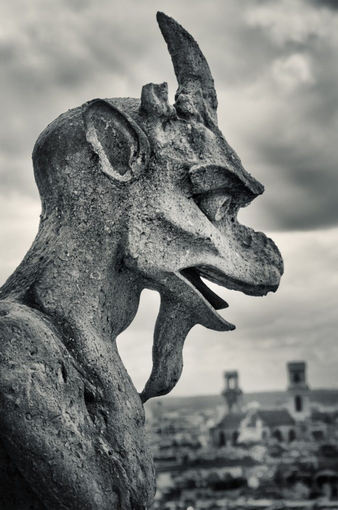 Gargoyle © Harold Davis