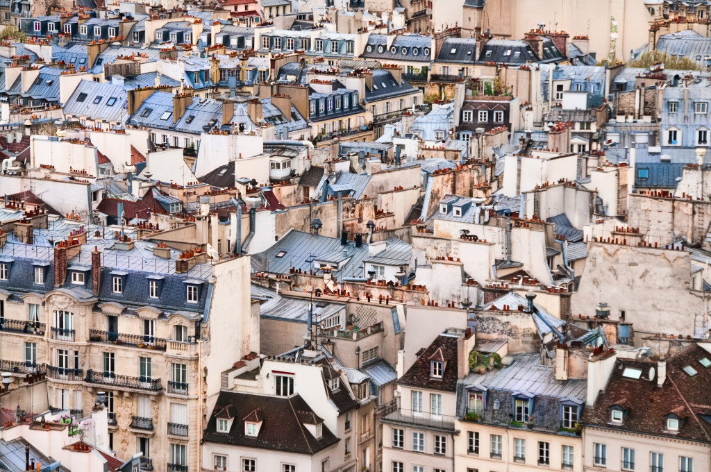 Rooftops of Paris by Harold Davis