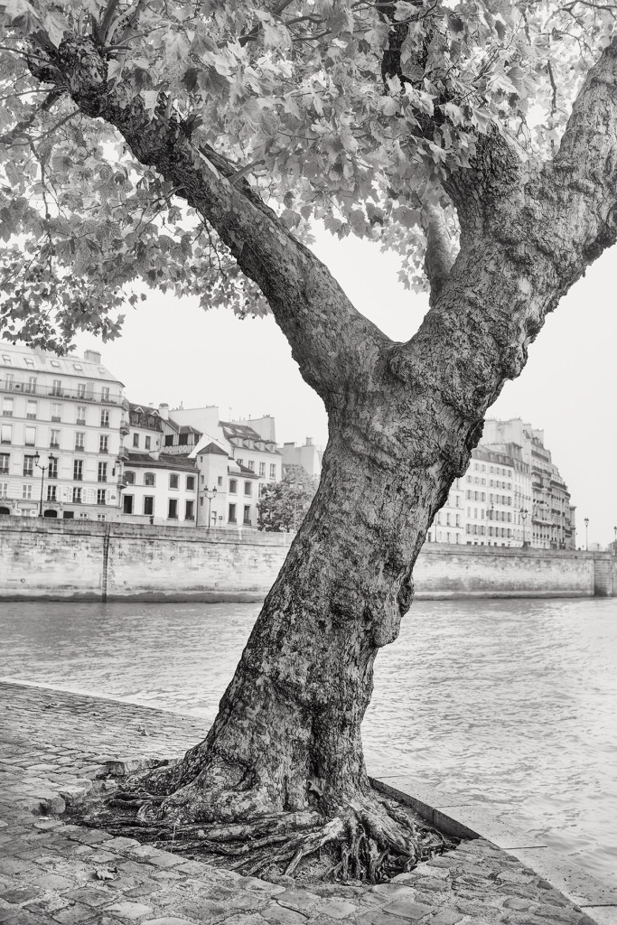 Islands of Paris © Harold Davis