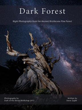 Dark Forest Cover-Thumbnail