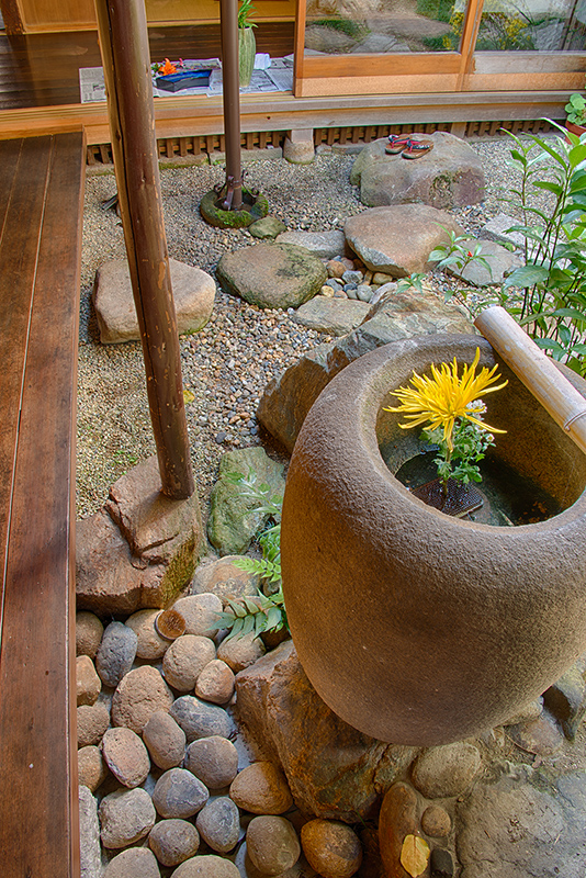Garden at the Sakuraya © Harold Davis