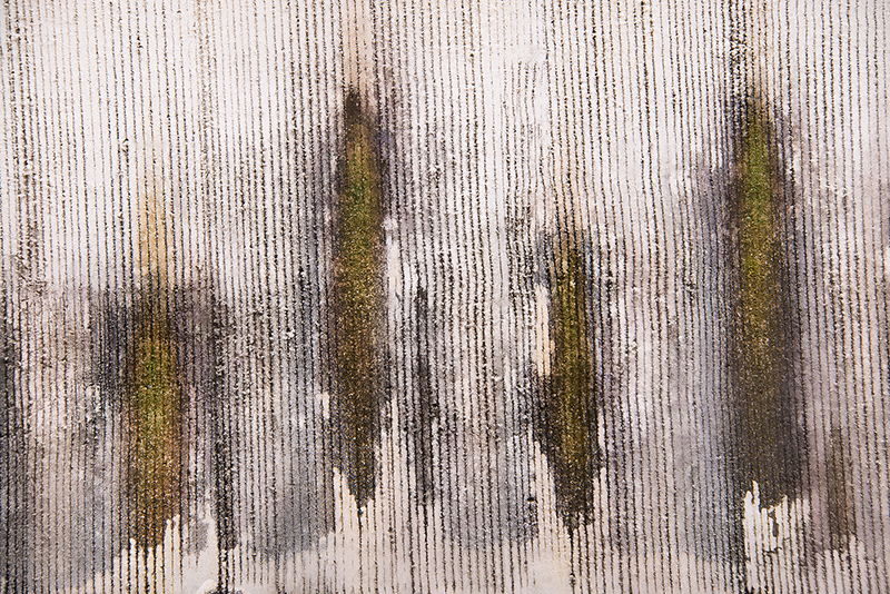 Garden Wall, Nara, Japan © Harold Davis