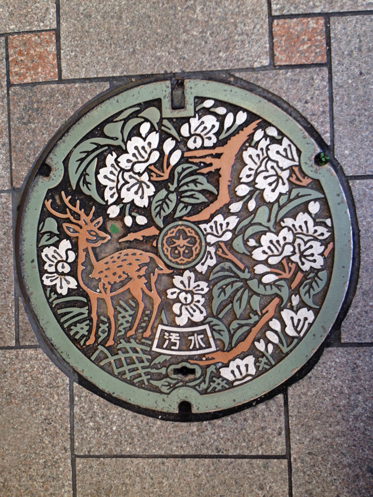 Nara Manhole Cover via iPhone © Harold Davis