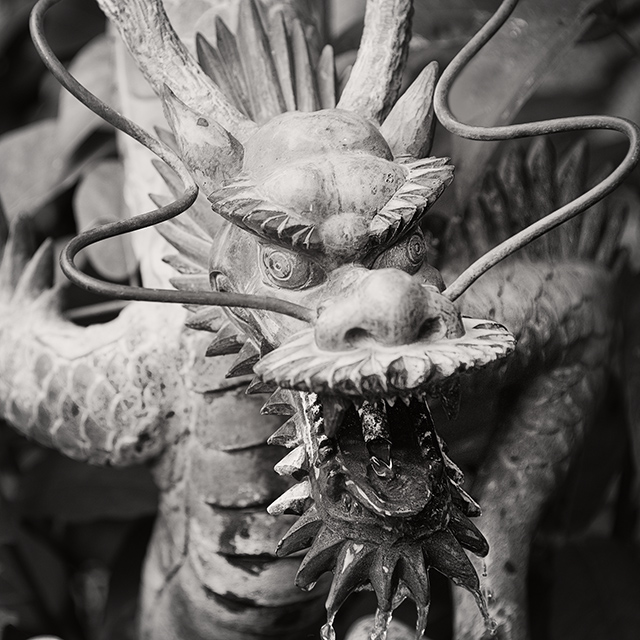 Temple Dragon © Harold Davis