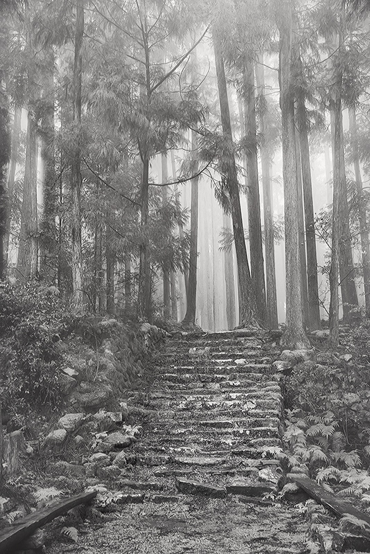 Along the Kumano kodo © Harold Davis