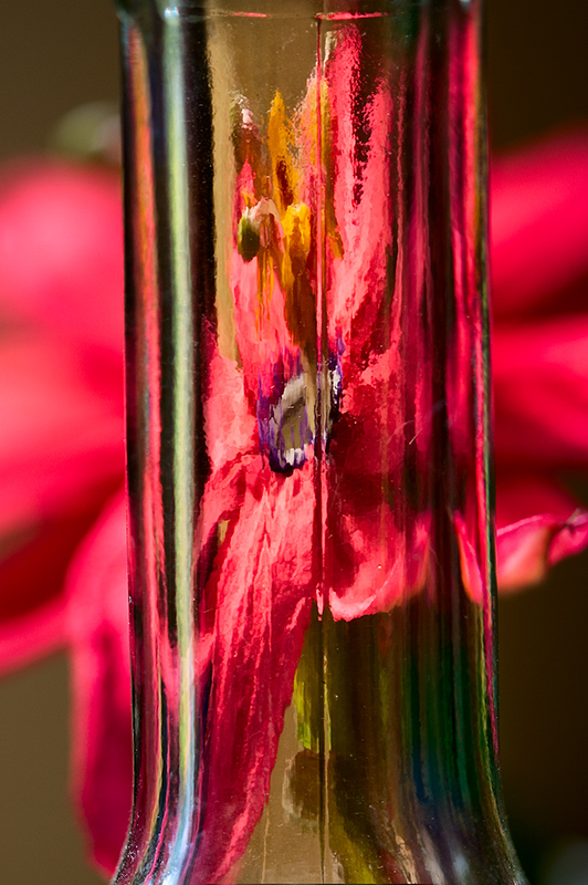 Passiflora through a bottle © Harold Davis