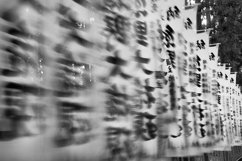 Temple Flags © Harold Davis