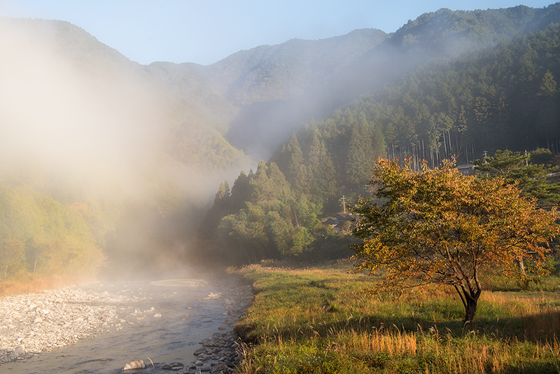 Morning Mist on the Hiki River © Harold Davis
