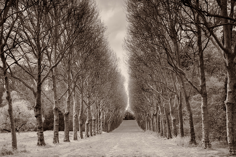 Parc de Sceaux © Harold Davis