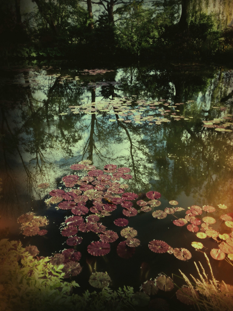 Giverny via iPhone 2 © Harold Davis