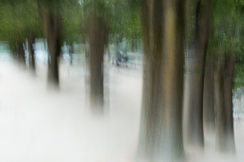In a Paris Park © Harold Davis
