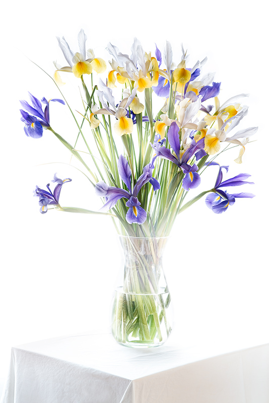 Irises in a Vase © Harold Davis