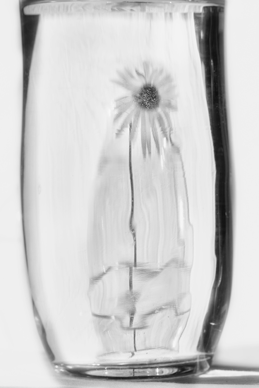 Message in a Bottle © Harold Davis