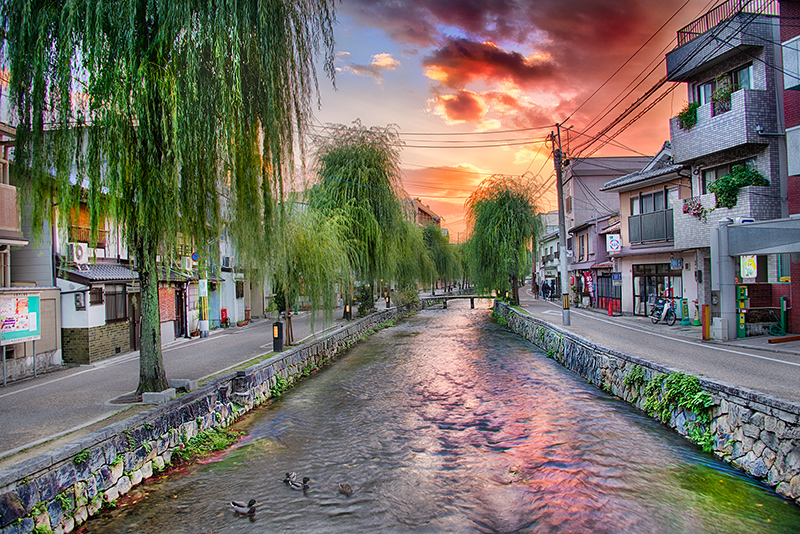 Shirakawa River, Kyoto © Harold Davis