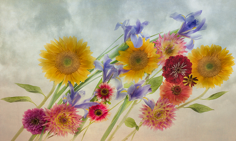 Windswept Florals © Harold Davis
